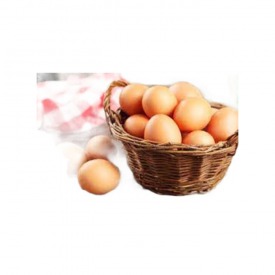 Organik Yumurta 10'lu